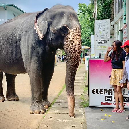 Elepath Lodge- Pinnawala 宾那伟拉 外观 照片